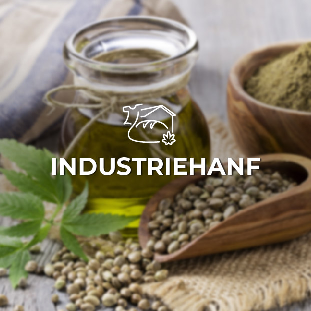 Image to represent Industriehanf