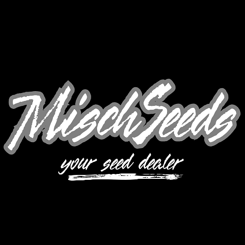 Logo der Firma 'MischSeeds '