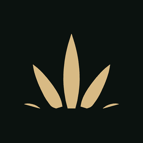 Logo der Firma 'Moroccan Therapeutics'