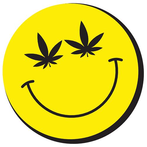 Logo der Firma 'Canna Smile'